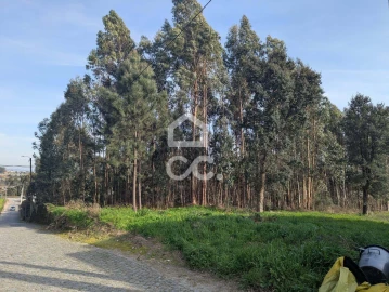 Terreno para Venda em Lousado
