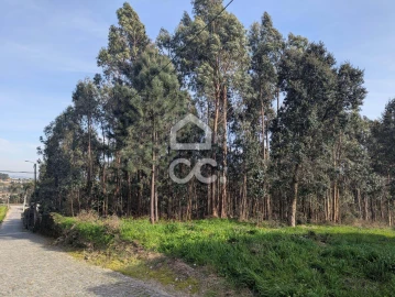Terreno para Venda em Lousado