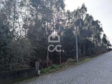 Terreno para Venda em Lousado