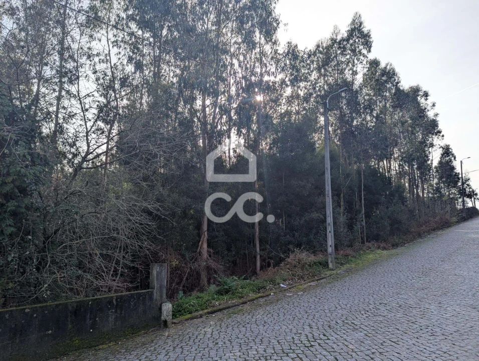 Terreno para Venda em Lousado Foto 4