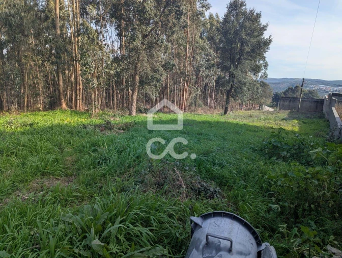 Terreno para Venda em Lousado Foto 11