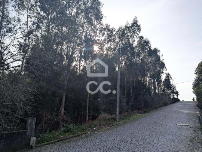 Terreno para Venda em Lousado Foto 3