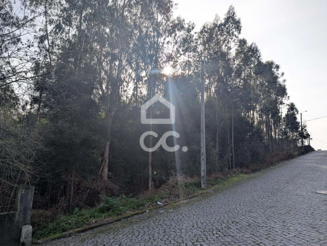 Terreno para Venda em Lousado Foto 5