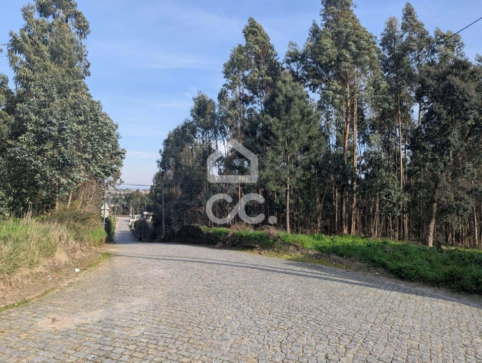 Terreno para Venda em Lousado Foto 7