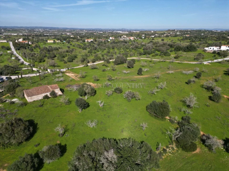 Terreno para Venda em Lagoa e Carvoeiro Foto 6