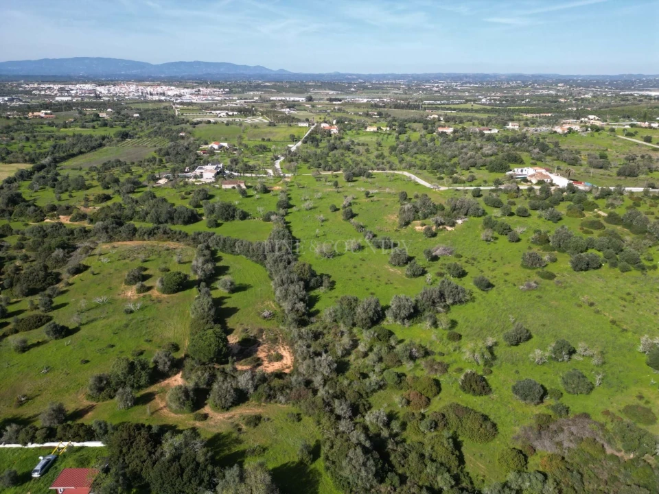 Terreno para Venda em Lagoa e Carvoeiro Foto 13