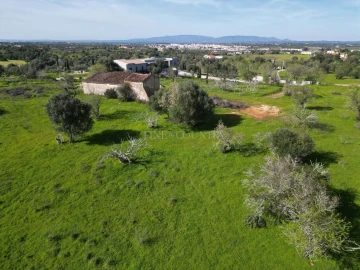 Terreno para Venda em Lagoa e Carvoeiro