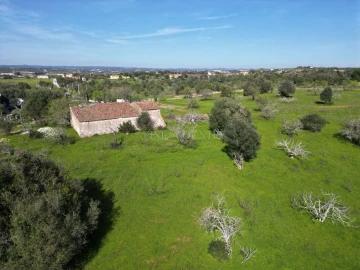 Terreno para Venda em Lagoa e Carvoeiro
