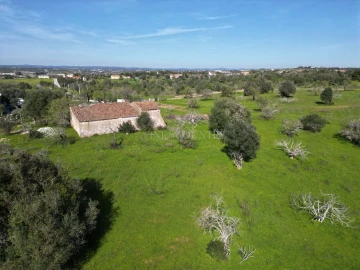 Terreno para Venda em Lagoa e Carvoeiro