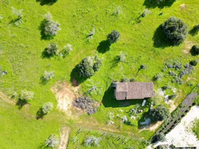 Terreno para Venda em Lagoa e Carvoeiro Foto 22