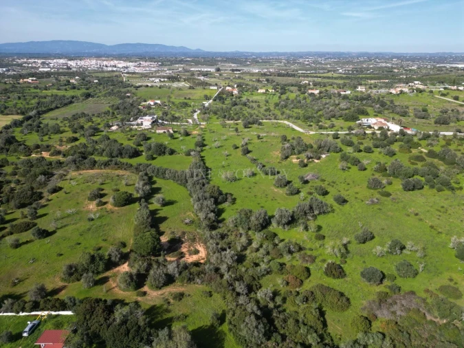 Terreno para Venda em Lagoa e Carvoeiro Foto 13