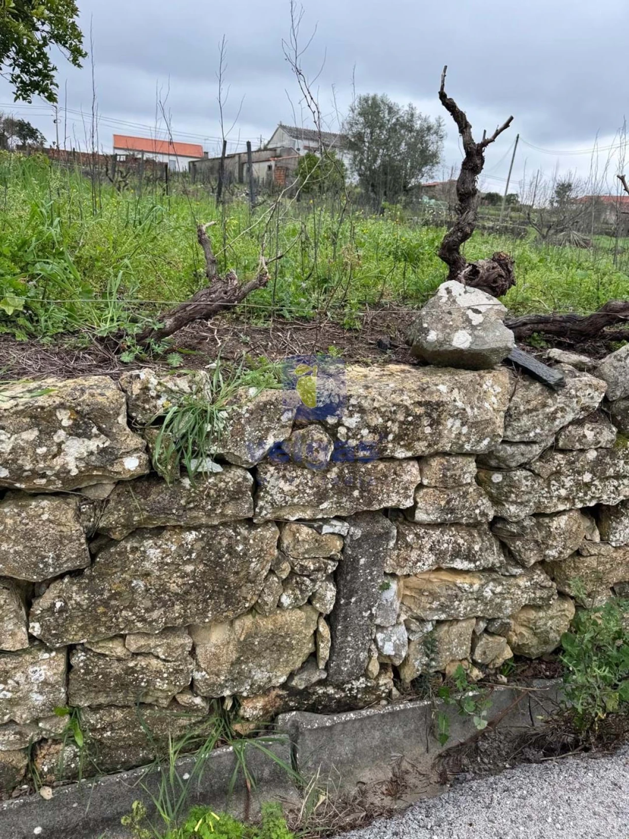 Moradia T4 para Venda em São Pedro de Tomar Foto 76