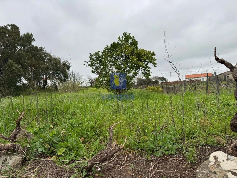 Moradia T4 para Venda em São Pedro de Tomar Foto 77