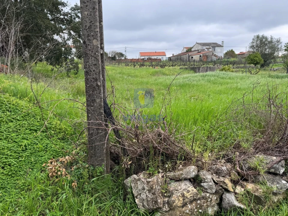 Moradia T4 para Venda em São Pedro de Tomar Foto 73