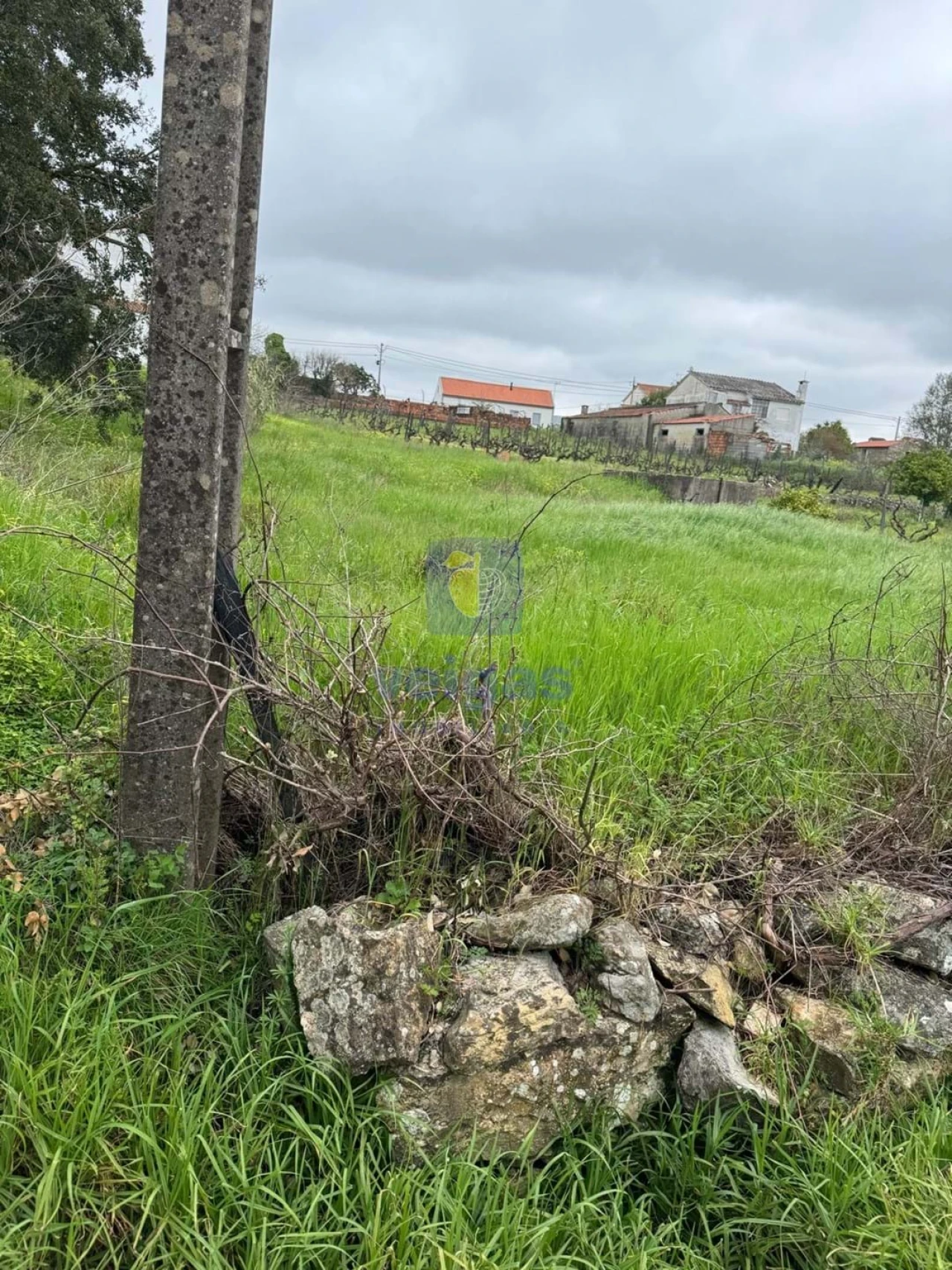 Moradia T4 para Venda em São Pedro de Tomar Foto 74