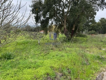 Moradia T4 para Venda em São Pedro de Tomar