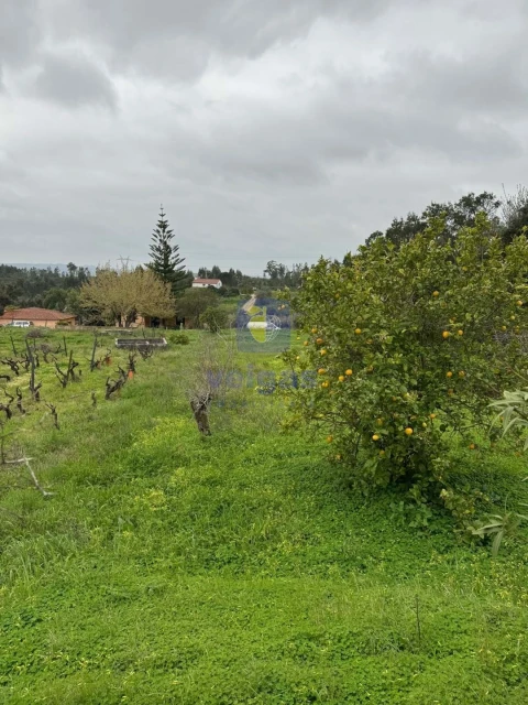 Moradia T4 para Venda em São Pedro de Tomar