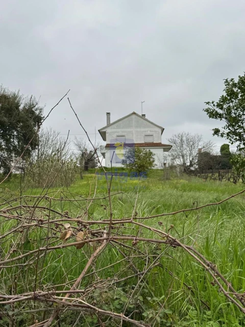 Moradia T4 para Venda em São Pedro de Tomar