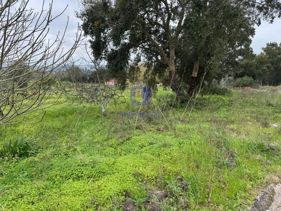 Moradia T4 para Venda em São Pedro de Tomar Foto 72