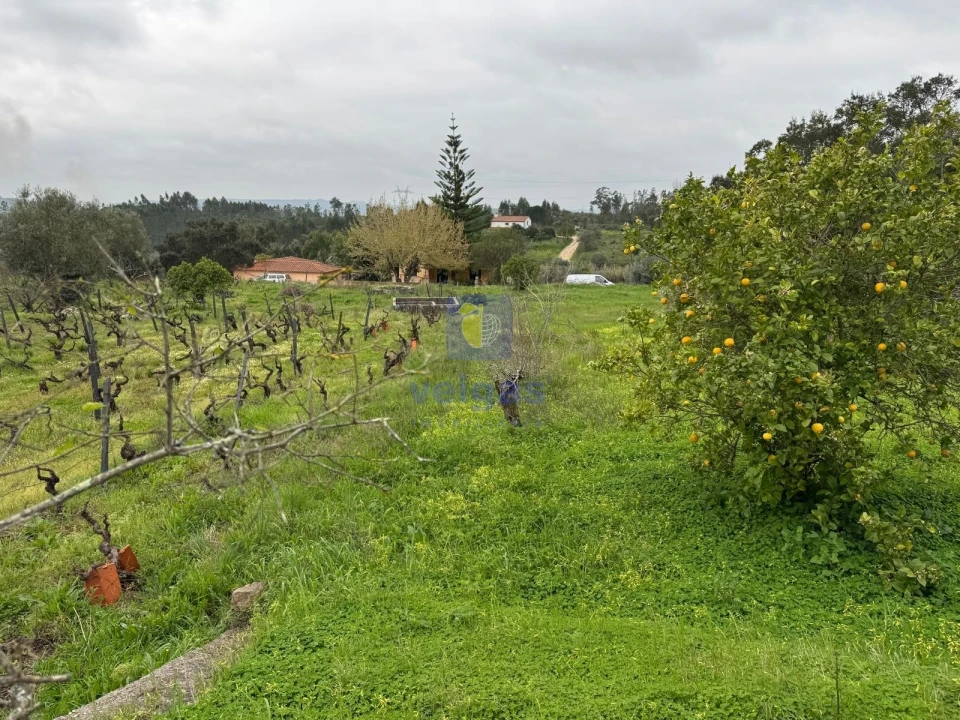 Moradia T4 para Venda em São Pedro de Tomar Foto 61