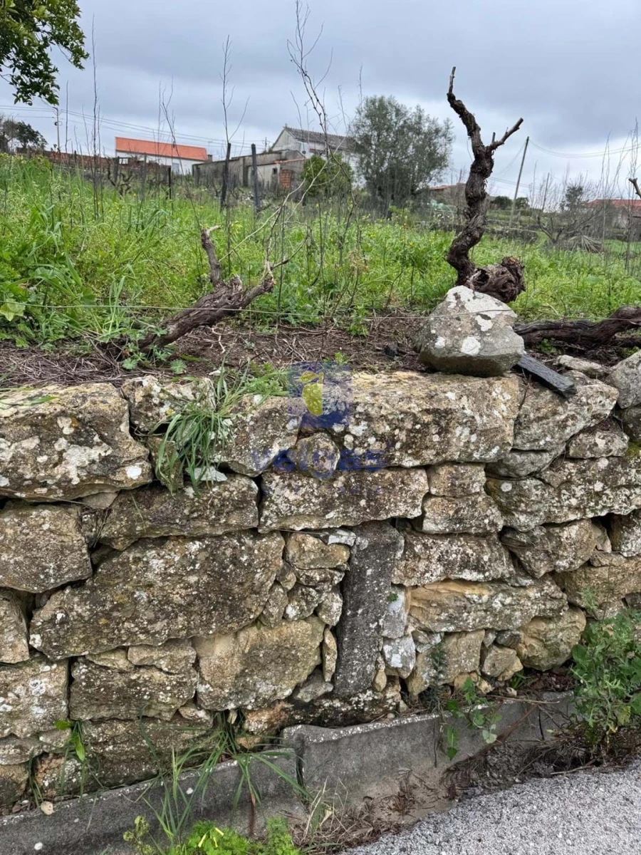Moradia T4 para Venda em São Pedro de Tomar Foto 76