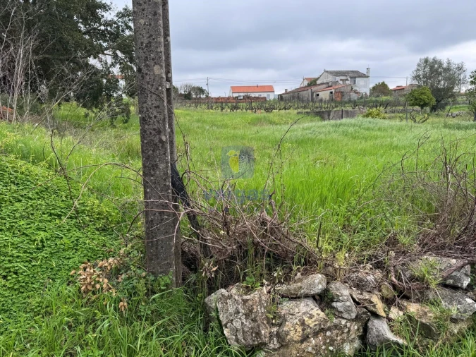 Moradia T4 para Venda em São Pedro de Tomar Foto 73