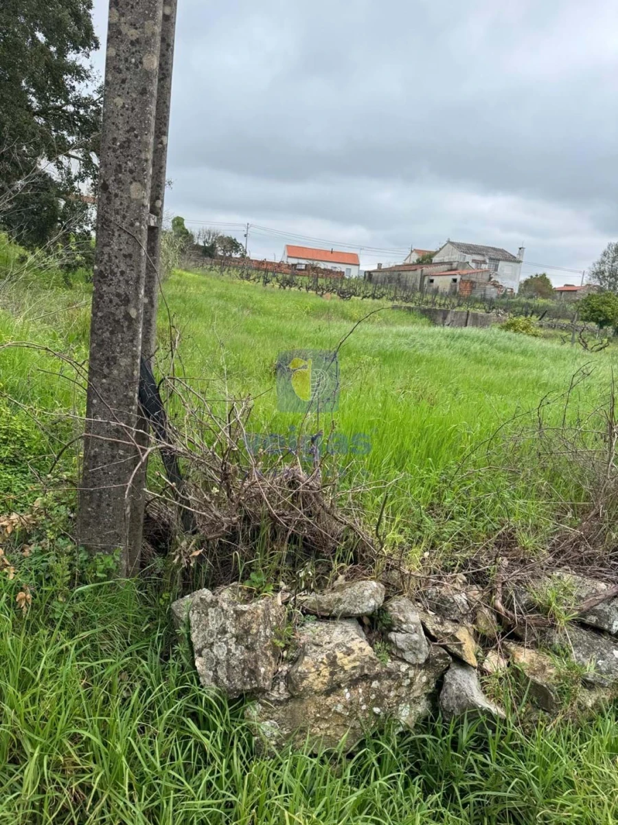 Moradia T4 para Venda em São Pedro de Tomar Foto 74