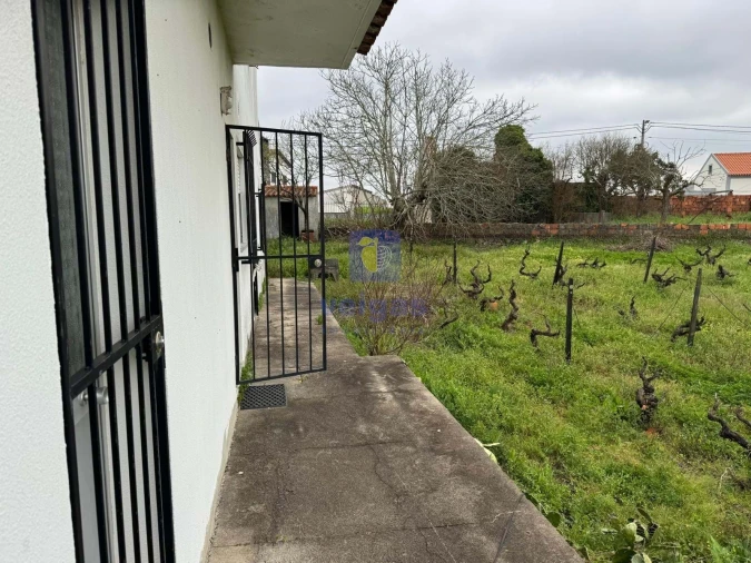Moradia T4 para Venda em São Pedro de Tomar Foto 65