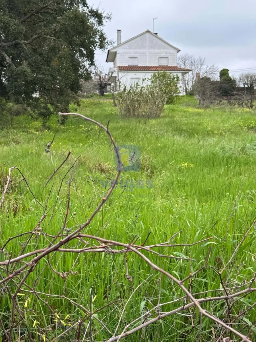 Moradia T4 para Venda em São Pedro de Tomar Foto 84
