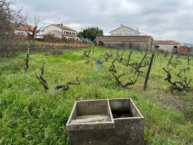 Moradia T4 para Venda em São Pedro de Tomar Foto 60