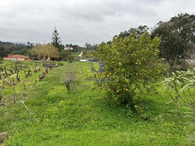 Moradia T4 para Venda em São Pedro de Tomar Foto 62
