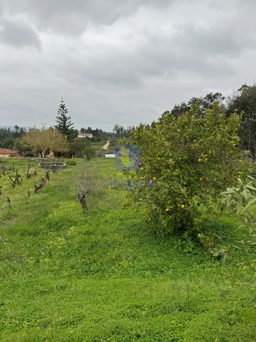 Moradia T4 para Venda em São Pedro de Tomar Foto 67