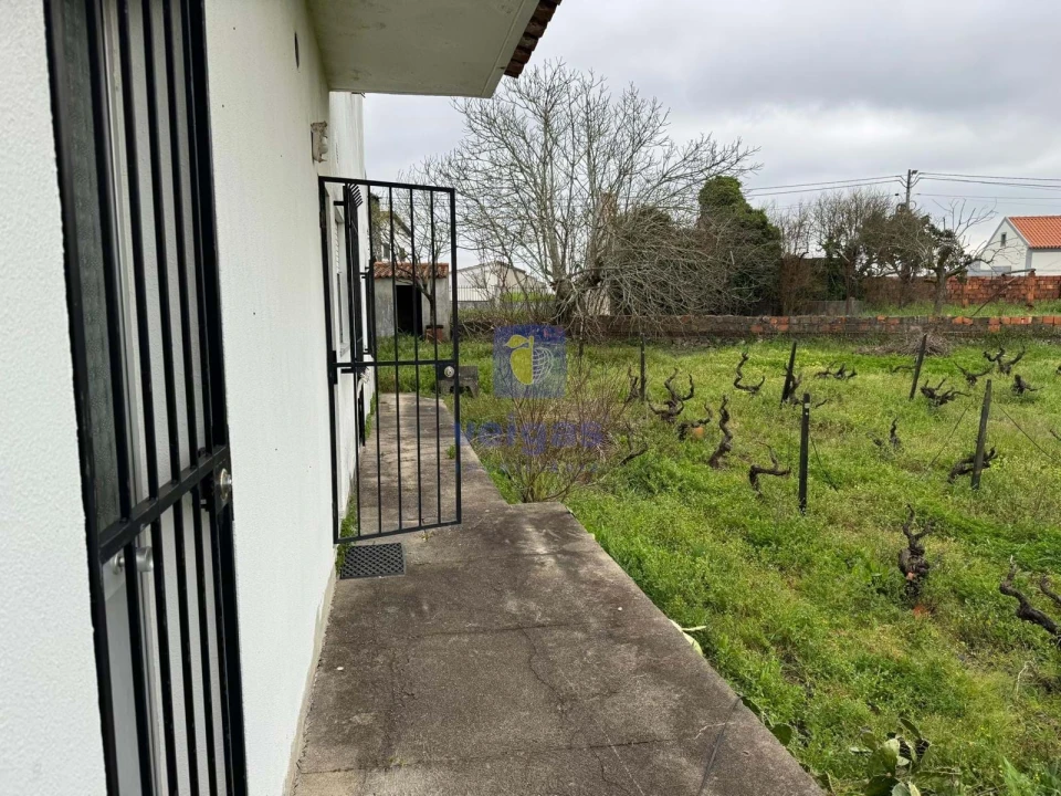 Moradia T4 para Venda em São Pedro de Tomar Foto 69