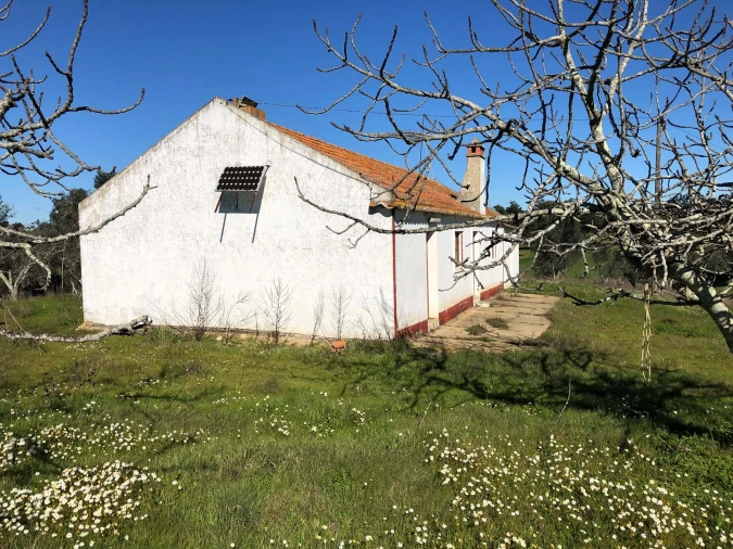 Quinta T3 para Venda em Cercal Foto 19