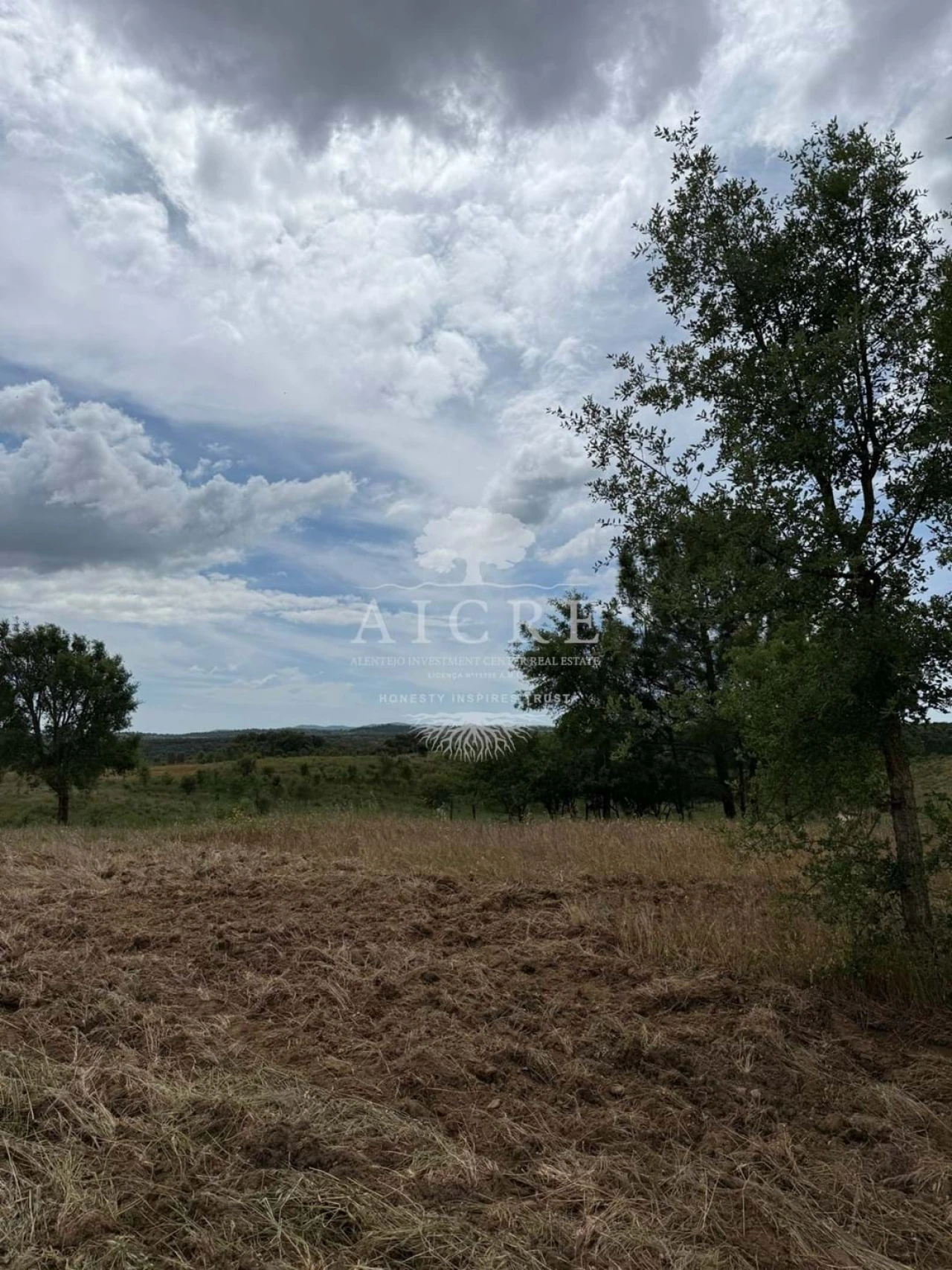 Quinta T3 para Venda em Cercal Foto 6
