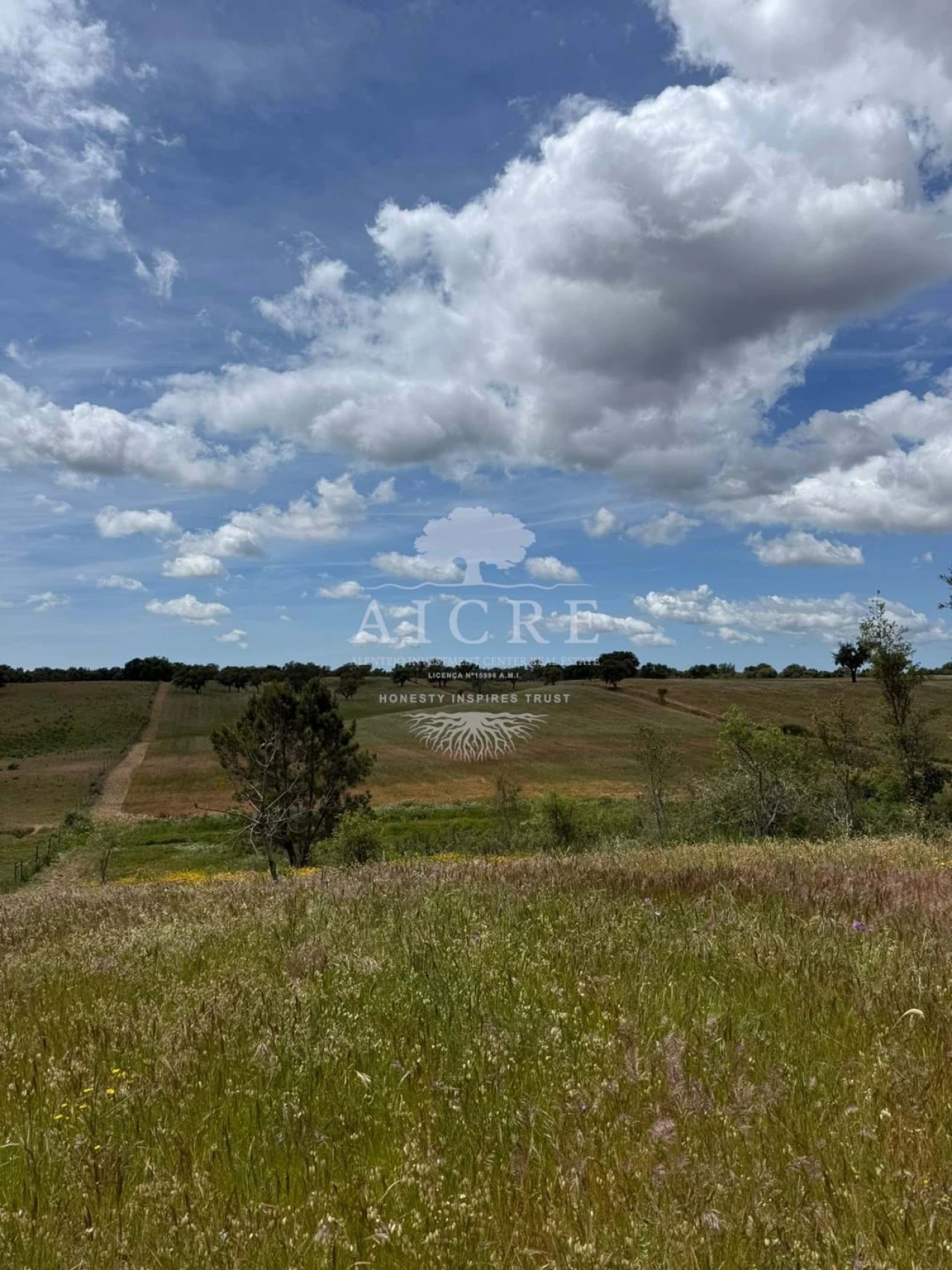 Quinta T3 para Venda em Cercal Foto 9