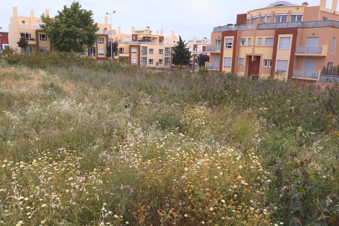 Terreno para Venda em Carcavelos e Parede Foto 7