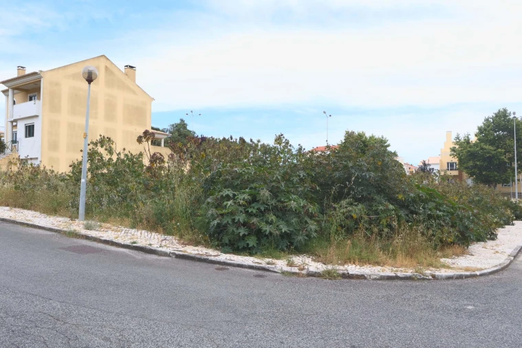 Terreno para Venda em Carcavelos e Parede Foto 12