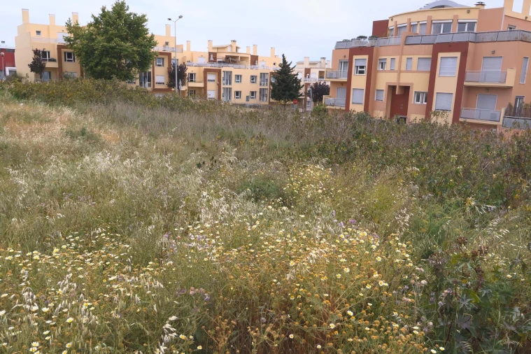 Terreno para Venda em Carcavelos e Parede Foto 6