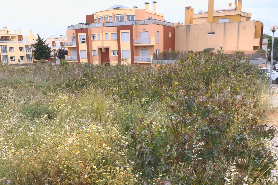 Terreno para Venda em Carcavelos e Parede Foto 5