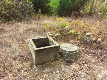 Terreno Agricola ou Rústico para Venda em Reguengo Grande