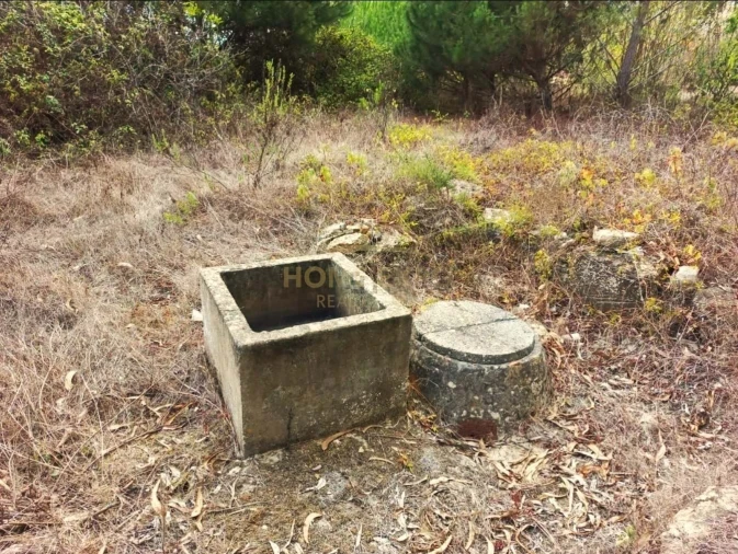 Terreno Agricola ou Rústico para Venda em Reguengo Grande Foto 8