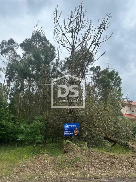 Terreno Agricola ou Rústico para Venda em São Mamede