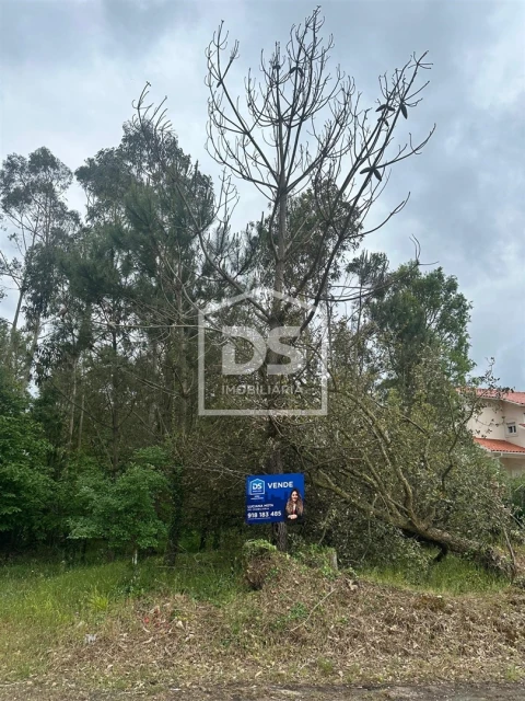 Terreno Agricola ou Rústico para Venda em São Mamede