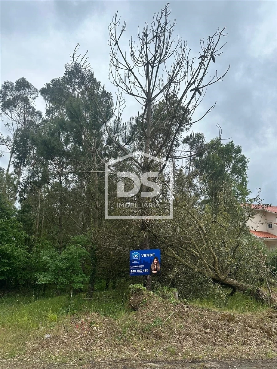 Terreno Agricola ou Rústico para Venda em São Mamede Foto 4