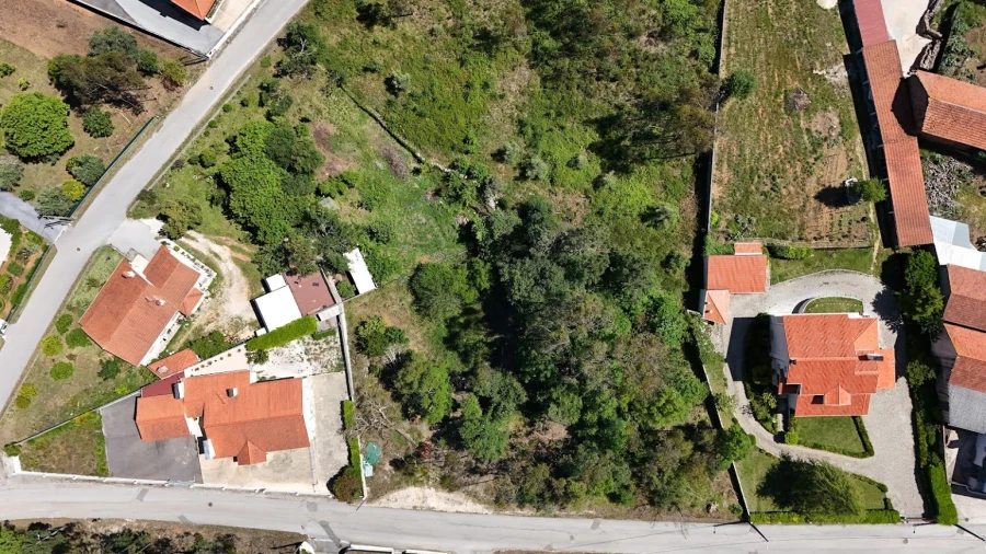 Terreno Agricola ou Rústico para Venda em São Mamede Foto 12