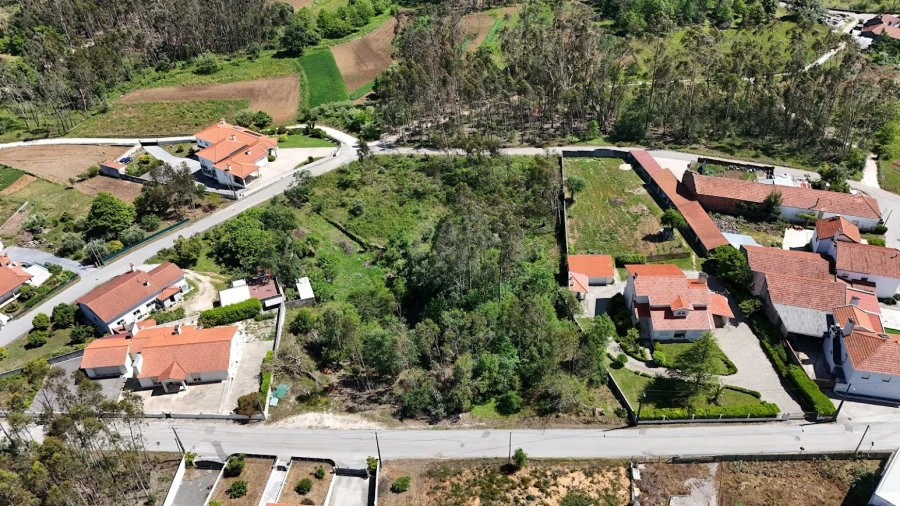 Terreno Agricola ou Rústico para Venda em São Mamede Foto 11