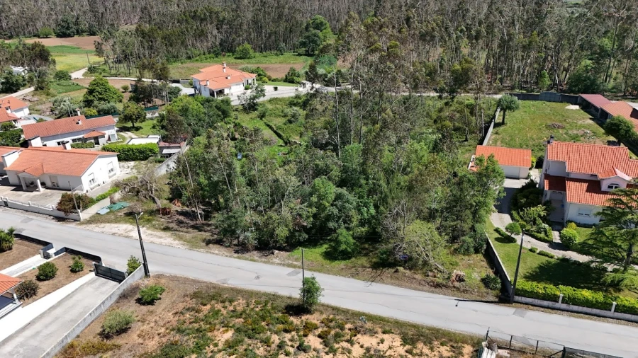 Terreno Agricola ou Rústico para Venda em São Mamede Foto 10