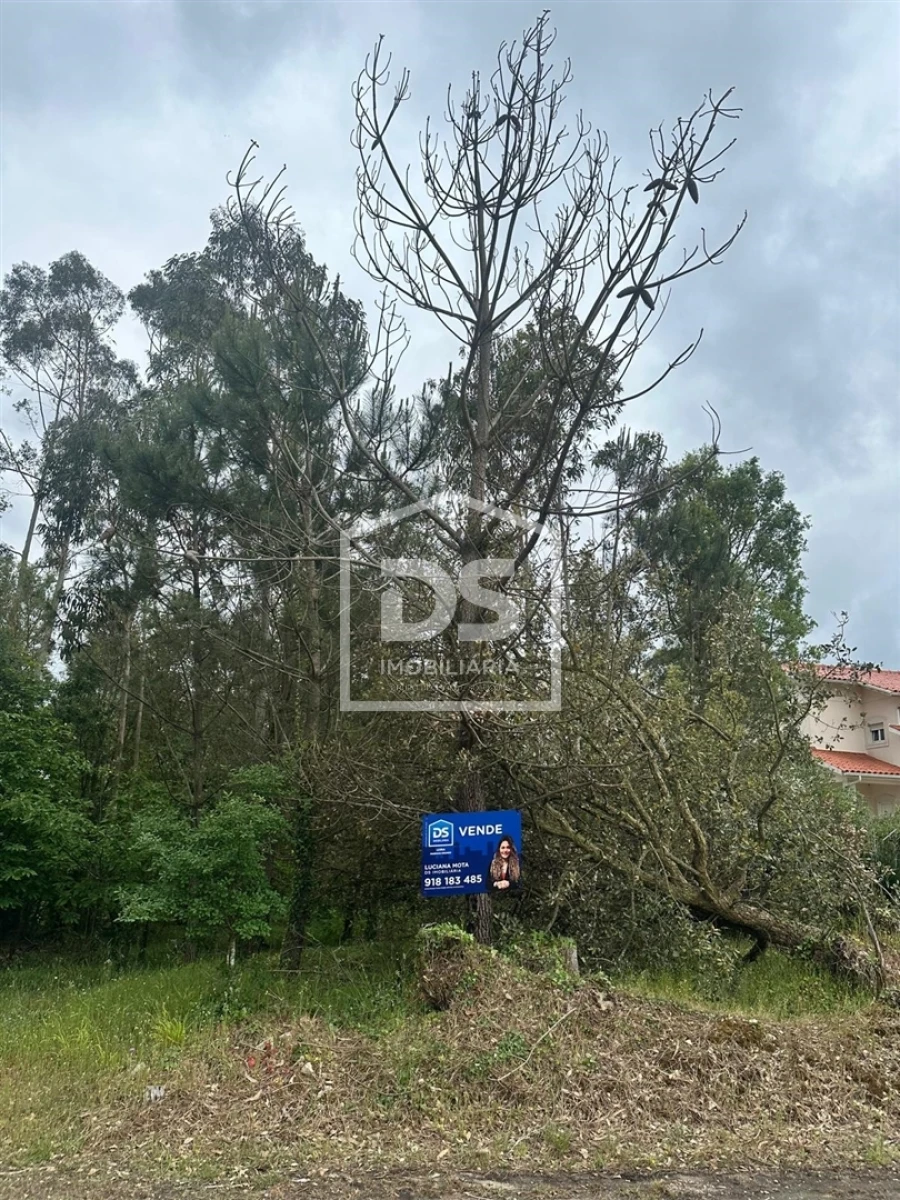 Terreno Agricola ou Rústico para Venda em São Mamede