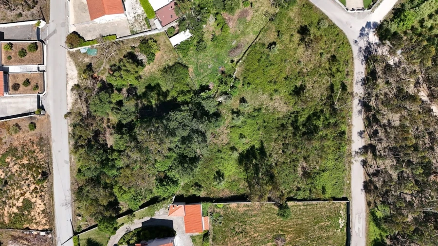 Terreno Agricola ou Rústico para Venda em São Mamede Foto 9